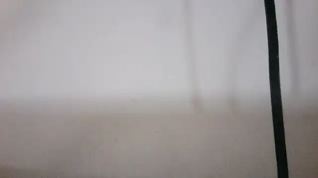 Snapshot of NATTYDOLL74 chatting on February 4, 2026, 9:43 pm NATTYDOLL74 online show from February 4, 2026, 9:43 pm