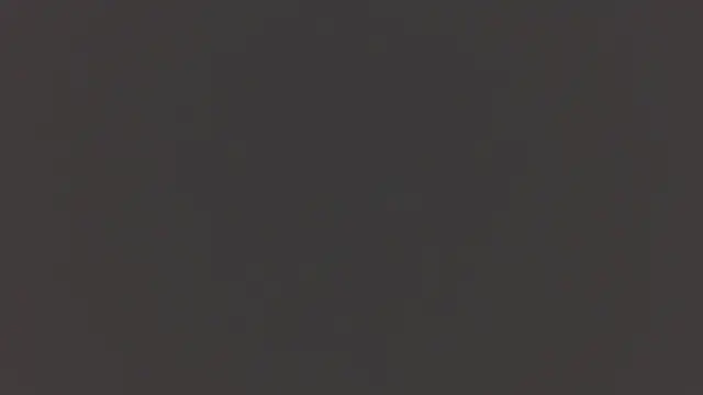 CindiBibi online show from November 5, 2025, 7:11 am