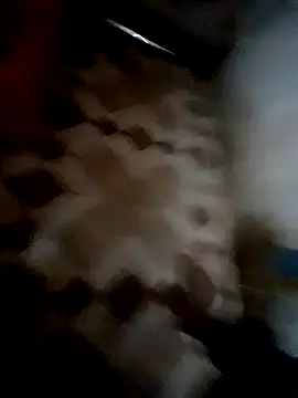 bindasbruno online show from November 1, 2025, 8:19 am