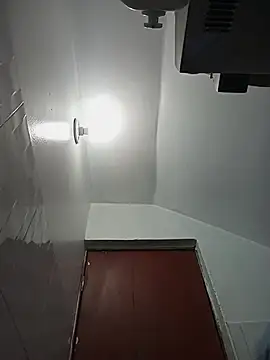 celeste 83 online show from October 27, 2025, 4:19 pm