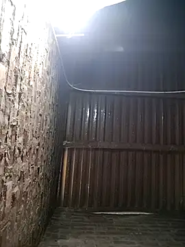 Bear bear0 online show from January 12, 2026, 12:39 am