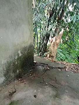 Bear bear0 online show from November 8, 2025, 1:53 am