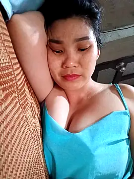 Bear bear0 online show from April 15, 2026, 6:19 am