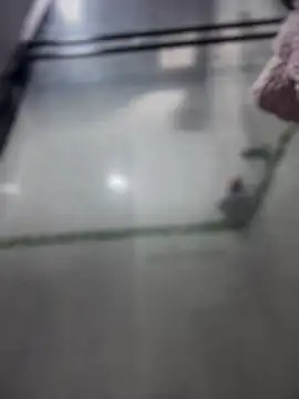 Snapshot of Violeet-Smith chatting on March 27, 2026, 2:51 pm Violeet-Smith online show from March 27, 2026, 2:51 pm