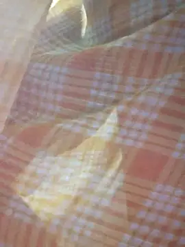 Ankitahot1993 online show from January 31, 2026, 11:36 pm