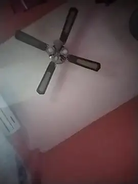 Danii2005 online show from November 12, 2025, 6:56 pm