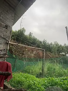 Snapshot of Irin_jo chatting on February 1, 2026, 12:31 am Irin jo online show from February 1, 2026, 12:31 am