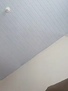 Morenodotado0 online show from February 24, 2026, 3:35 pm