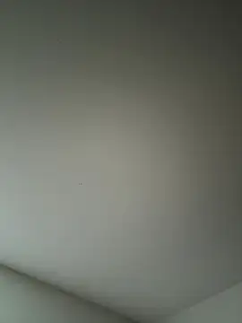 derekp55 online show from November 2, 2025, 12:54 pm