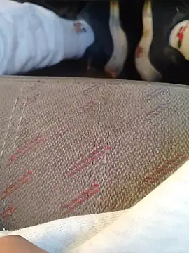 666Daemon666 online show from January 17, 2026, 11:19 pm