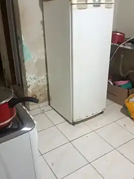  -   gozada online show from November 4, 2025, 2:48 am