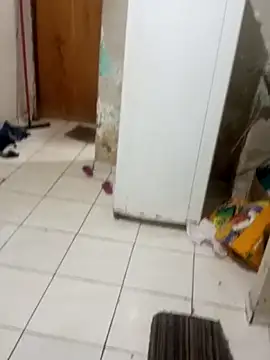  -   gozada online show from October 24, 2025, 2:32 am