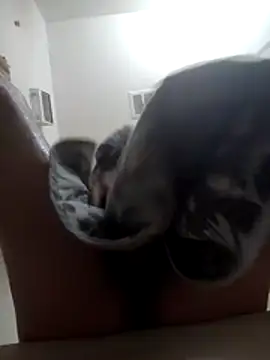 Fuckboyguyman online show from December 17, 2025, 6:51 am