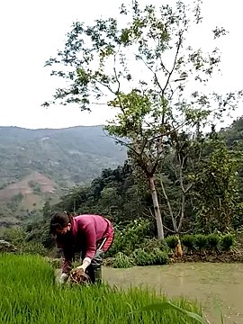 Snapshot of Noelle-e chatting on April 11, 2026, 10:41 am Noelle-e online show from April 11, 2026, 10:41 am