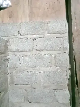 Snapshot of Noelle-e chatting on April 12, 2026, 12:08 pm Noelle-e online show from April 12, 2026, 12:08 pm