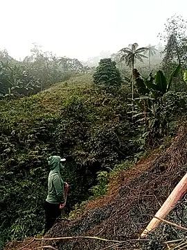 Snapshot of Phoena-a chatting on March 21, 2026, 1:18 am Phoena-a online show from March 21, 2026, 1:18 am