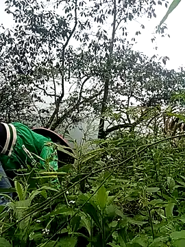 Snapshot of Phoena-a chatting on March 24, 2026, 2:22 am Phoena-a online show from March 24, 2026, 2:22 am