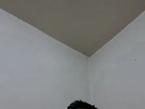 GordoChancludoSLP online show from November 25, 2025, 4:46 am