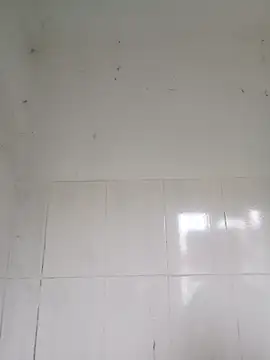 bella-la online show from February 12, 2026, 12:54 am