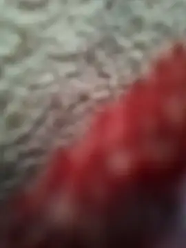 bigtelugubhama online show from February 8, 2026, 9:07 am