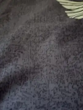 bigtelugubhama online show from February 25, 2026, 7:19 am