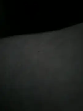 EchoVibe 86 online show from March 11, 2026, 5:07 pm