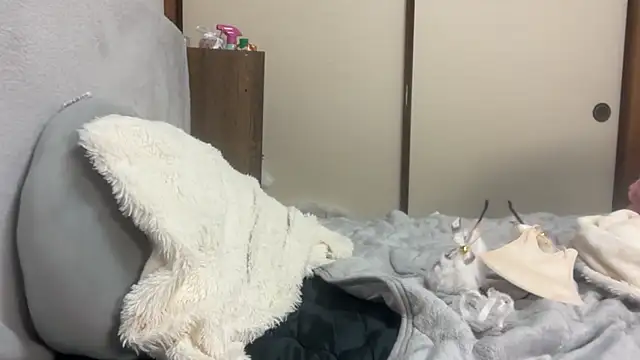 tubakiaki online show from April 1, 2026, 1:41 pm