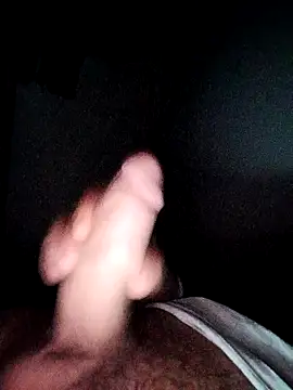 Snapshot of Fa7l1995 chatting on November 4, 2025, 11:19 pm Fa7l1995 online show from November 4, 2025, 11:19 pm