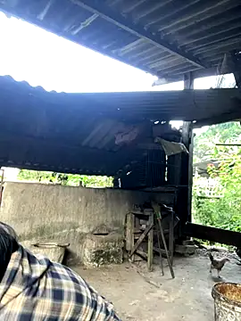 heodat-sexx online show from November 27, 2025, 12:33 am