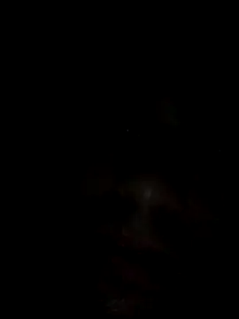 Msmn online show from November 2, 2025, 7:24 am