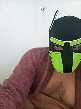 Snapshot of RobeBear chatting on February 26, 2026, 5:13 pm RobeBear online show from February 26, 2026, 5:13 pm