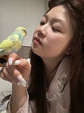 xiaojingzi66 online show from April 28, 2026, 5:17 pm