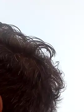 hdtvuy online show from November 10, 2025, 11:15 am