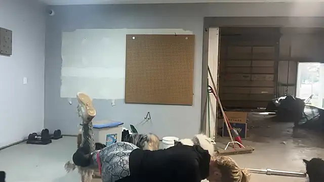 Snapshot of lanasharapovaxxx chatting on February 25, 2026, 9:03 pm lanasharapovaxxx online show from February 25, 2026, 9:03 pm