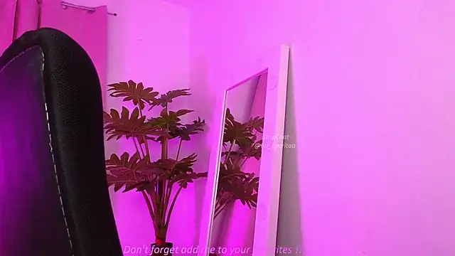 BabyLauritaa online show from March 21, 2026, 11:08 pm