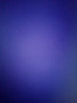 Pallu Asha online show from March 16, 2026, 1:15 pm