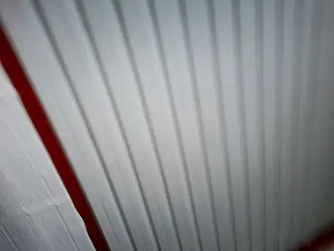 Snapshot of xwildflowerx chatting on March 3, 2026, 9:22 pm xwildflowerx online show from March 3, 2026, 9:22 pm