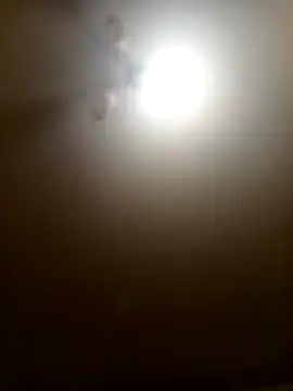 Niesmialyy online show from February 16, 2026, 8:18 pm