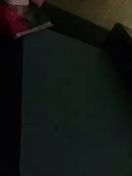 Misiek11123 online show from November 4, 2025, 9:29 pm