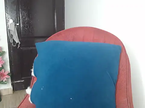 Sexy Annii online show from December 22, 2025, 12:11 am