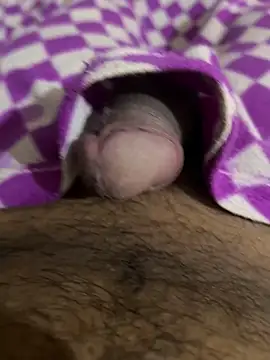 playboyoftelugu online show from November 14, 2025, 5:44 am