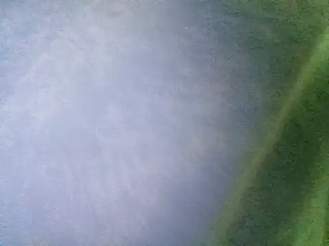 Ramzes1992Analog online show from November 5, 2025, 12:58 am