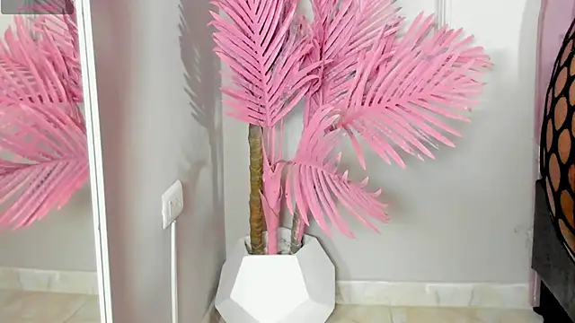 Snapshot of Tamaramilleer chatting on February 2, 2026, 3:49 am Tamaramilleer online show from February 2, 2026, 3:49 am