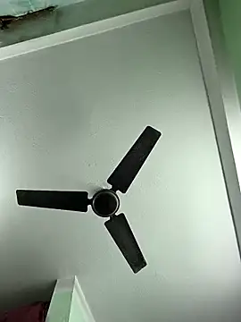 Snapshot of butterflydoll55sexolina chatting on November 11, 2025, 11:38 am butterflydoll55sexolina online show from November 11, 2025, 11:38 am