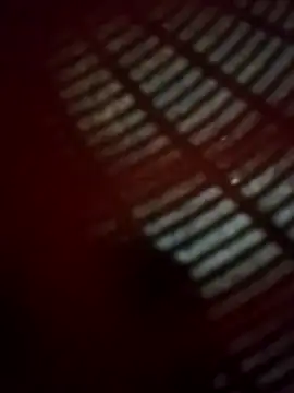 Snapshot of WillfulVideo chatting on November 14, 2025, 4:54 pm WillfulVideo online show from November 14, 2025, 4:54 pm