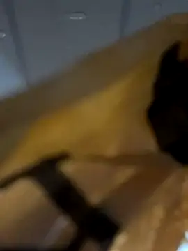 kingkumarN67 online show from November 10, 2025, 5:23 am