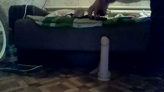 antosha555 online show from November 15, 2025, 9:30 pm