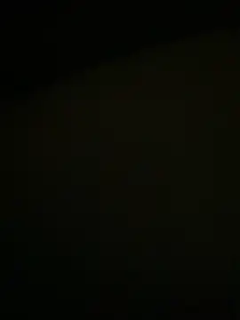 Dona Mafia online show from December 20, 2025, 2:36 am