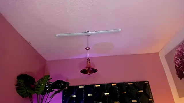 Velvet Dreamss online show from March 26, 2026, 11:41 am