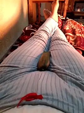 Tota sexi online show from December 4, 2025, 11:31 am